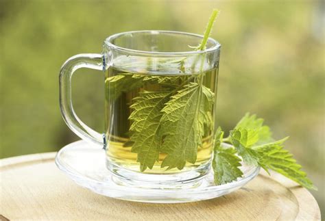 как да се пие чай от ivan от аденом на простатата